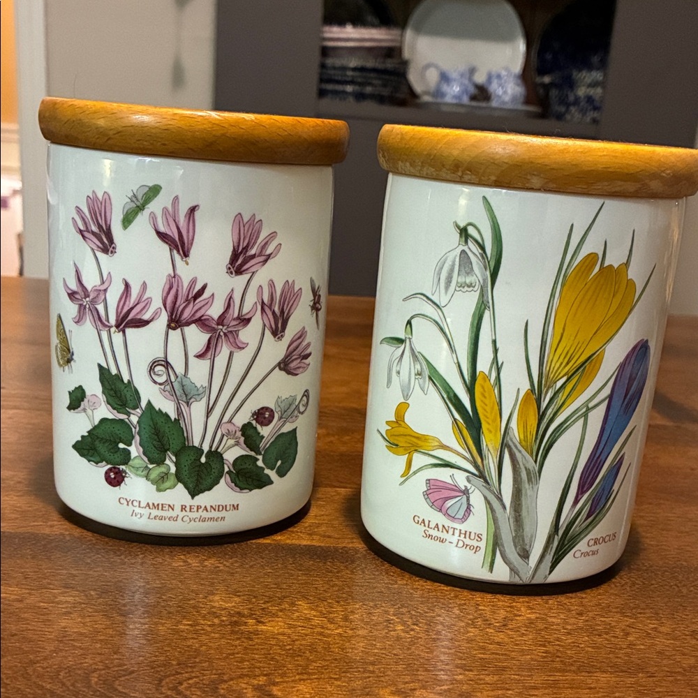 Set of 2 vintage Portmeirion canisters